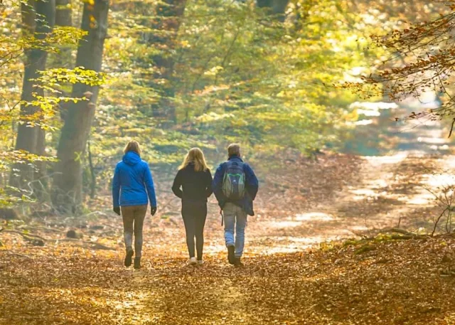 De voordelen van bewegen voor uw mentale gezondheid