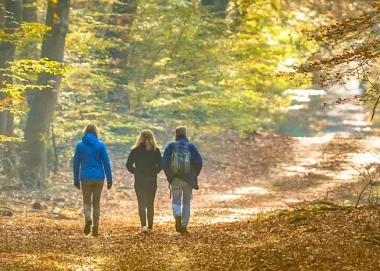 De voordelen van bewegen voor uw mentale gezondheid